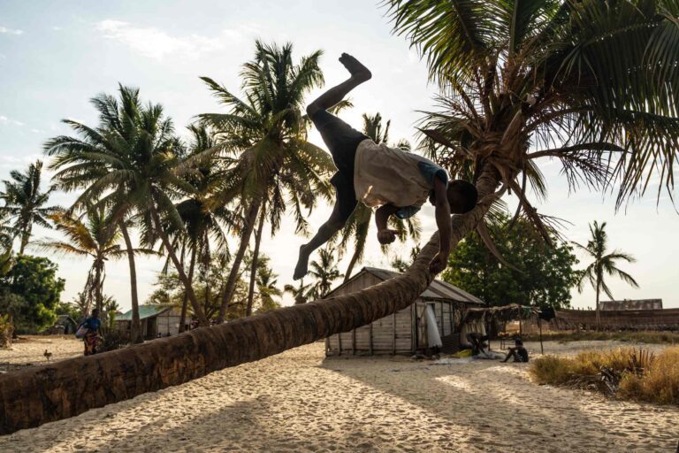 Strand en palmbomen met een man die klimt