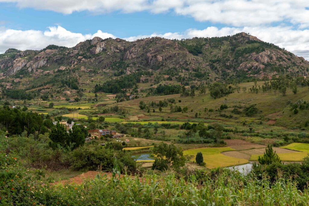 Paysage de rizière à Madagascar