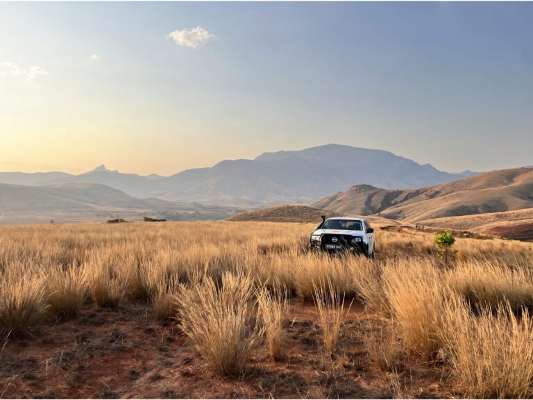 4x4 in een landschap met hoge grassen
